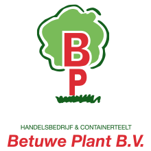 Betuwe plant