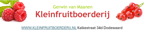 Gerwin van Maanen kleinfruit